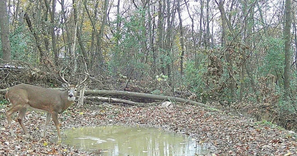 Photo of TBD East Burns Valley Road, Wilson Twp, MN 55987 (MLS # 6824336)