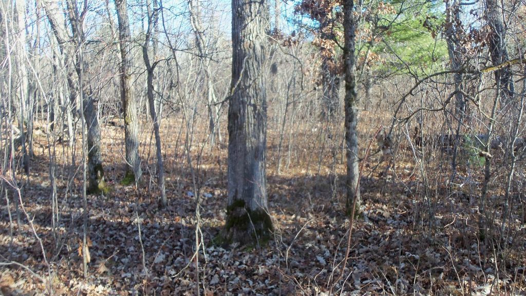 Photo of Lot 2 Ferry Rd, Grantsburg Twp, WI 54840 (MLS # 6821609)