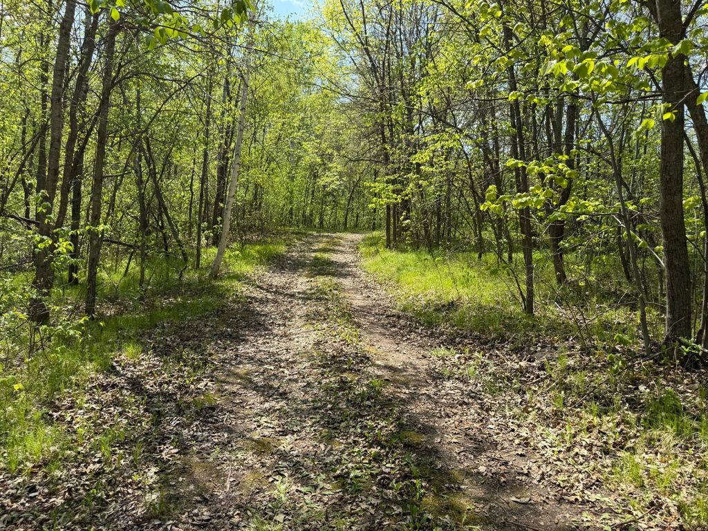 Photo of 19318 308th Avenue, Underwood, MN 56586 (MLS # 7078237)