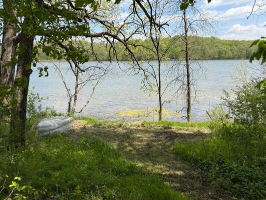 19318 308TH AVE, UNDERWOOD, MN 56586 - Image 2940e8a4e9557480cf1d48a886439a4d/3863335436