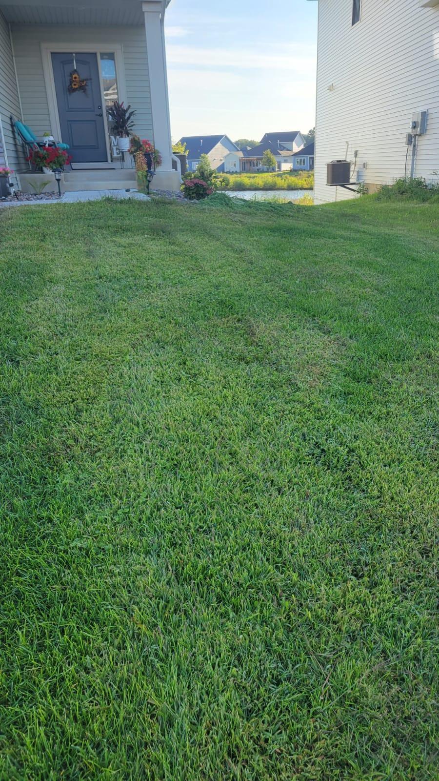 11129 Polk Street NE