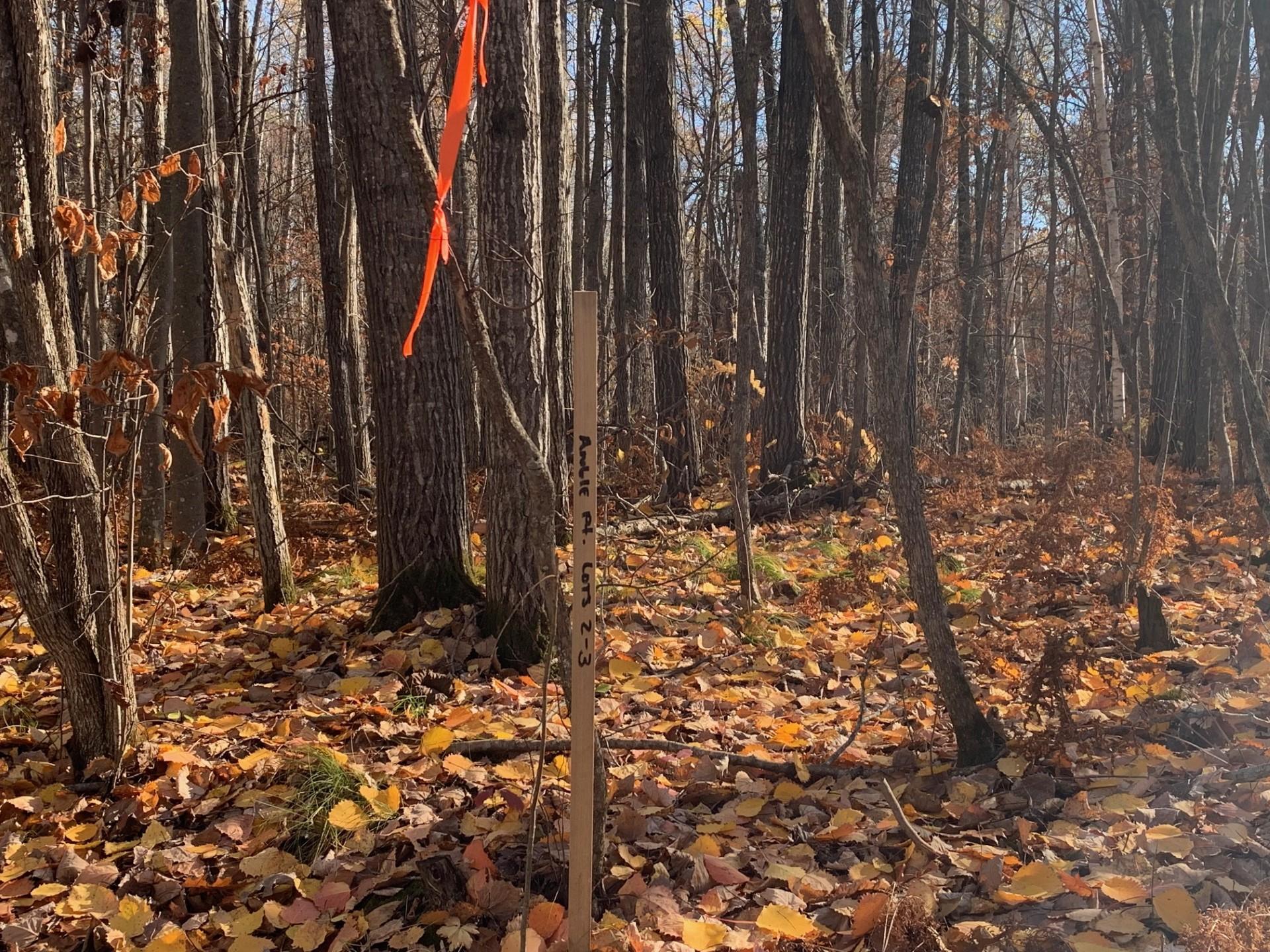 Lot 3 County Road 136