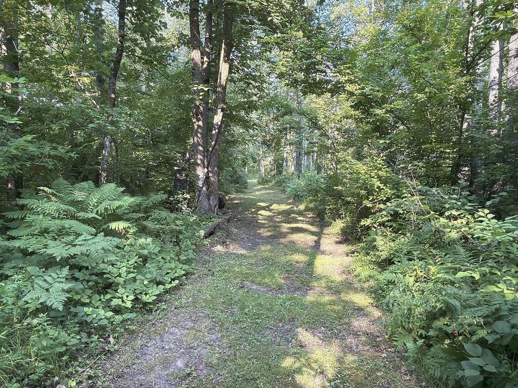 Photo of 9527 W Mile Road, Ladysmith, WI 54848 (MLS # 7118531)