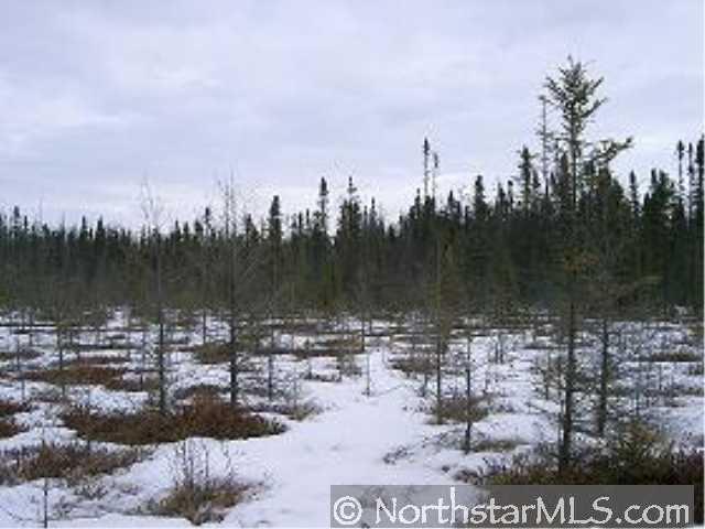 Photo 1 of 1 — XXX JUDEES RD, Grygla, MN 56727