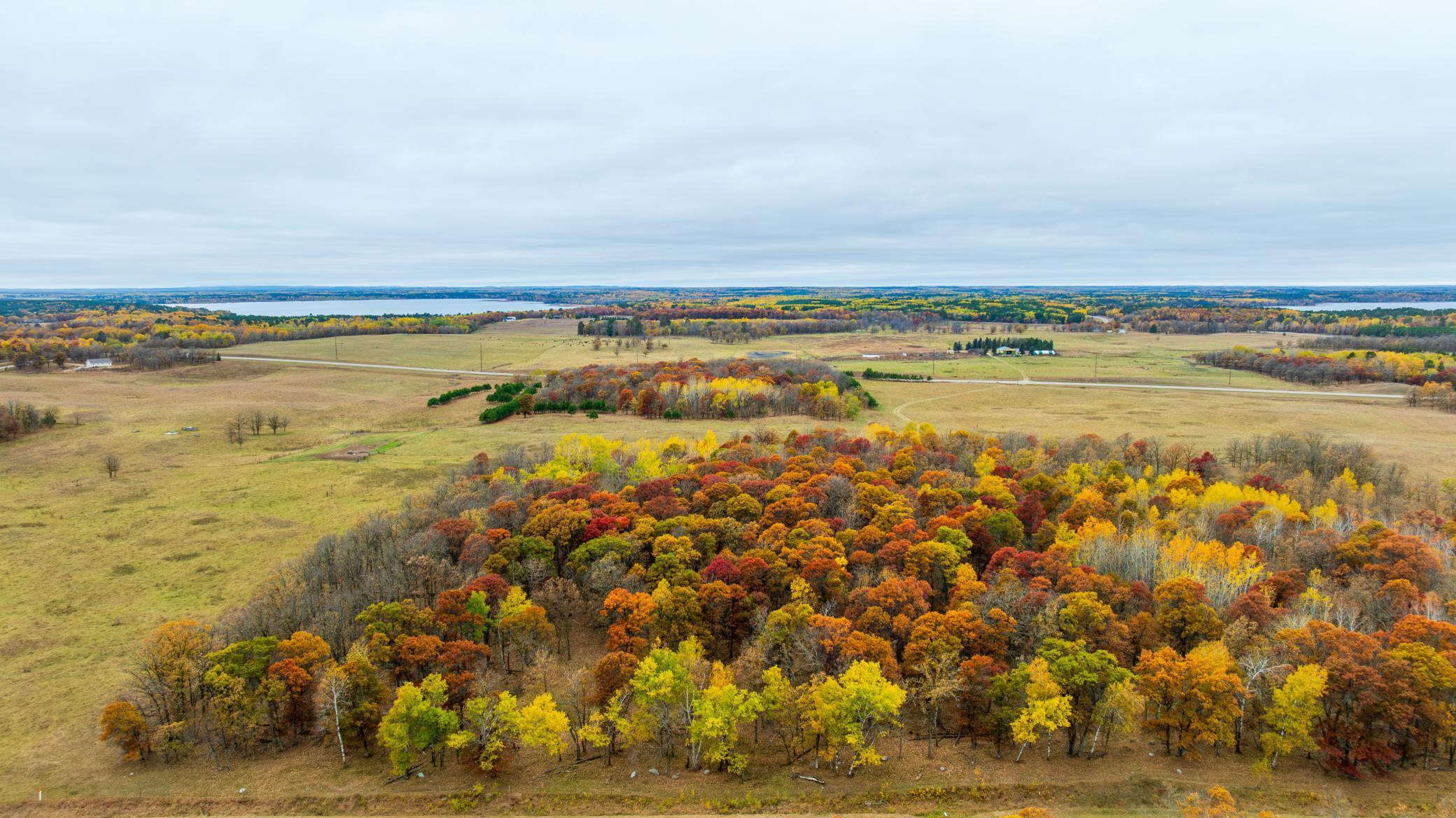 Tract I 175th Avenue