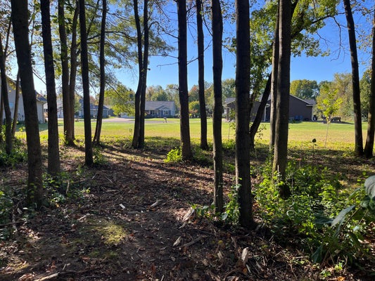 917 SCHARBILLIG CT, RICE LAKE, WI 54868 - Image 2a8453de376e9b3a6f488bbd6492e81b/2520954307