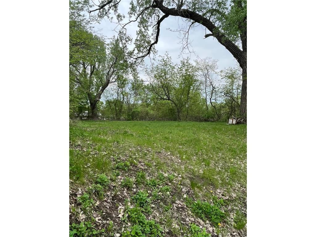 Photo of 137 Sims Avenue, Saint Paul, MN 55117 (MLS # 7034341)