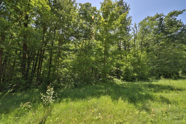 TRACT C OLANDER ROAD, CROSBY, MN 56441 - Image 2b5da09633d4249f2f92c5d717536e0a/974864489