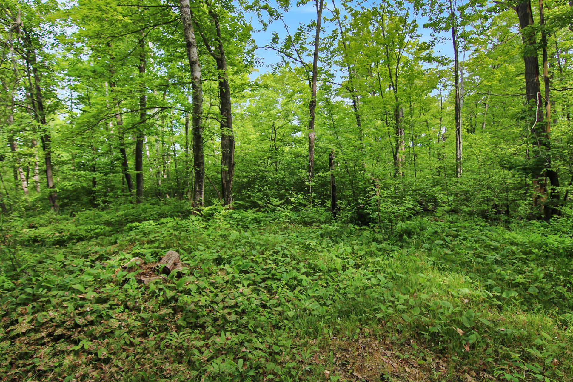 TBD Crooked Lake Twp