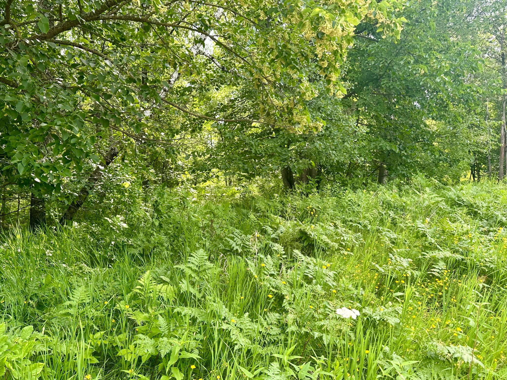 Lot 2 Blk 1 Eagle Drive NW