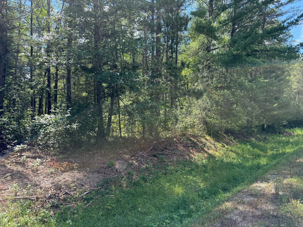 Photo of 28393 County 93, Laporte, MN 56461 (MLS # 7116050)