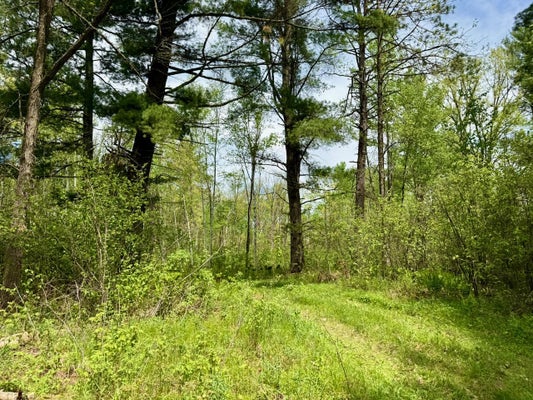 ADDRESS PRIVATE, WILLOW RIVER, MN 55795 - Image 2c0568dc9f737d9be76bbe64fbb23943/975234260