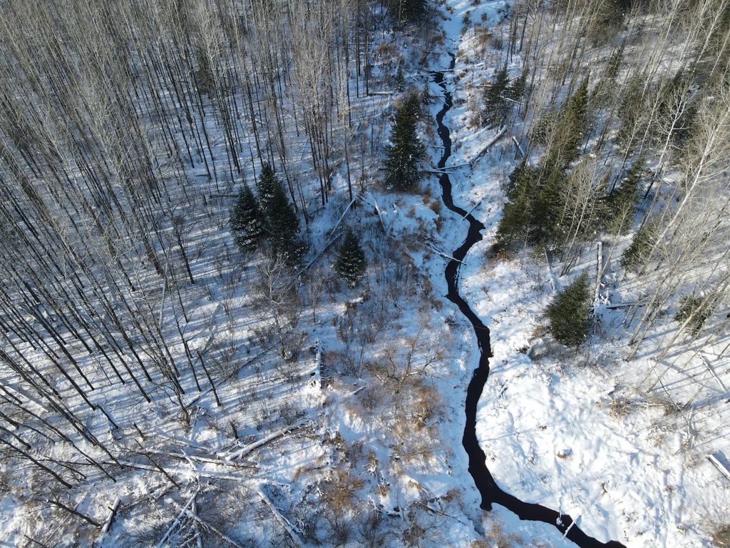 Photo of 2194 Yoki Road N, Zim, MN 55738 (MLS # 6825389)