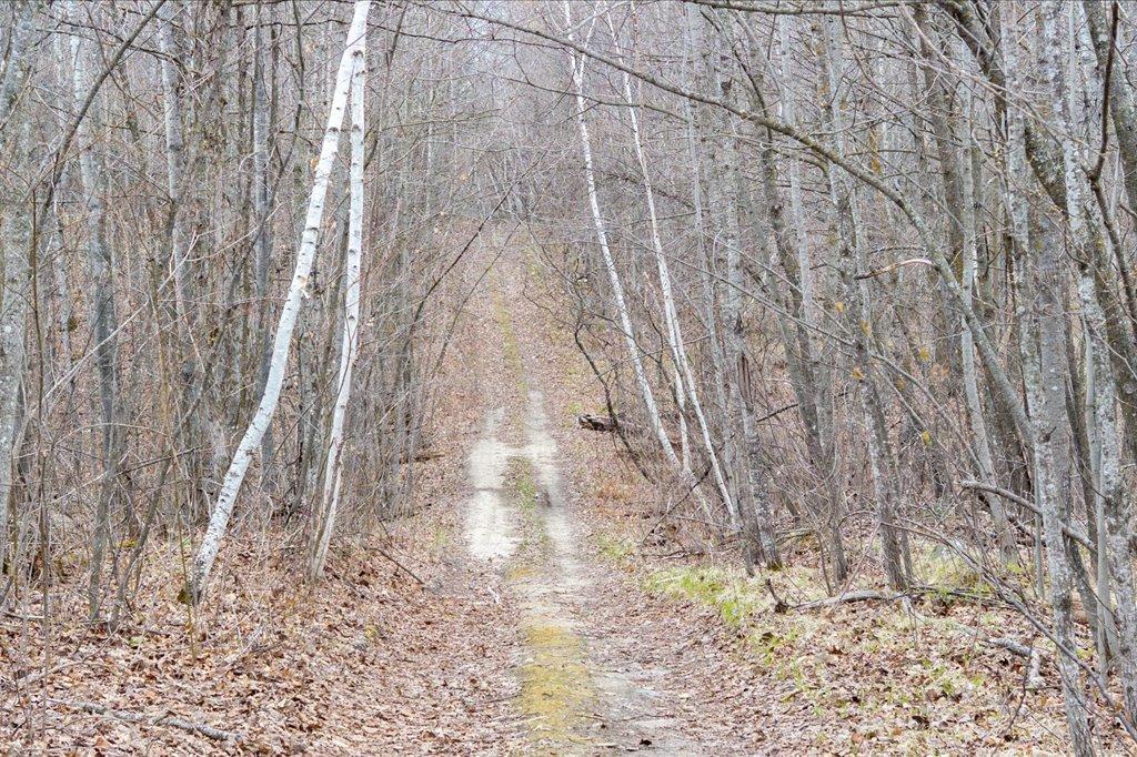 TBD Kestrel Trail NW