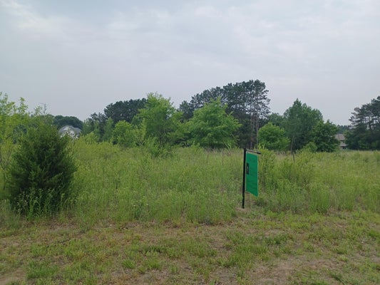 16200 AUSTIN ST NE, ANDOVER, MN 55304 - Image 2c8feab75c440232cd4b7676b9e6ceee/159524780