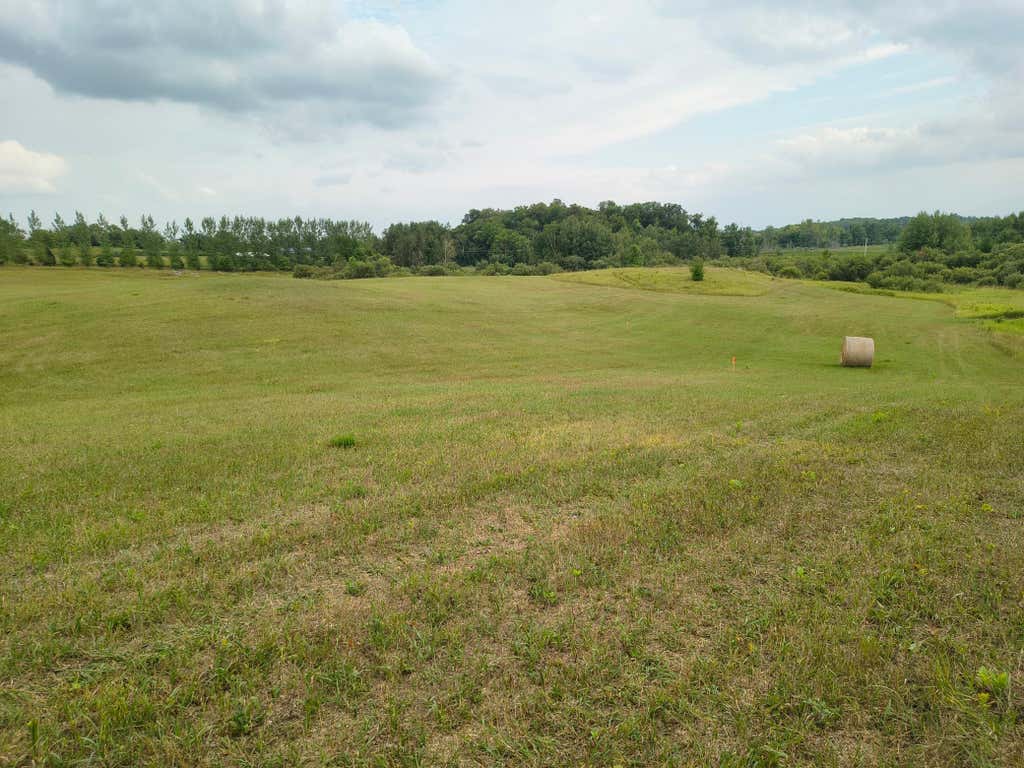 Photo of TBD Buckskin Road NE, Carlos, MN 56319 (MLS # 7127718)