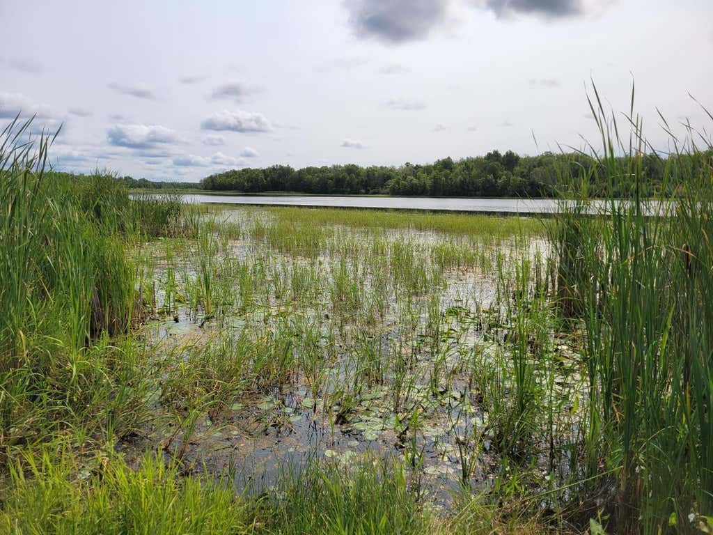 Photo of TBD Woodbury Drive, Wright, MN 55798 (MLS # 7124304)