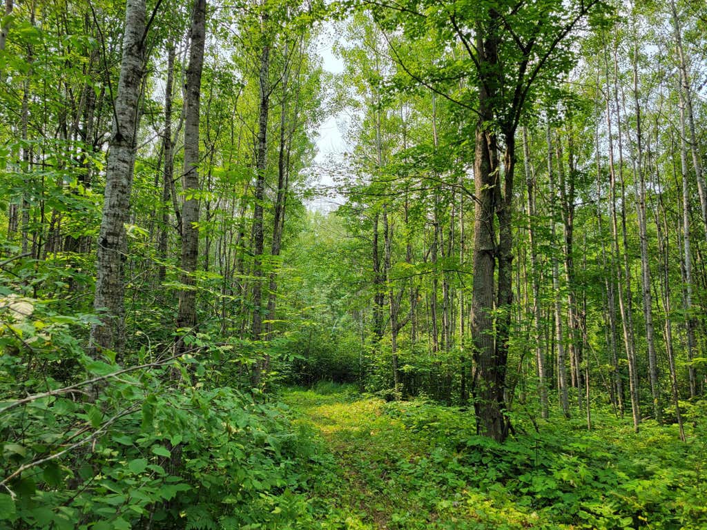 Photo of TBD Woodbury Drive, Wright, MN 55798 (MLS # 7124304)