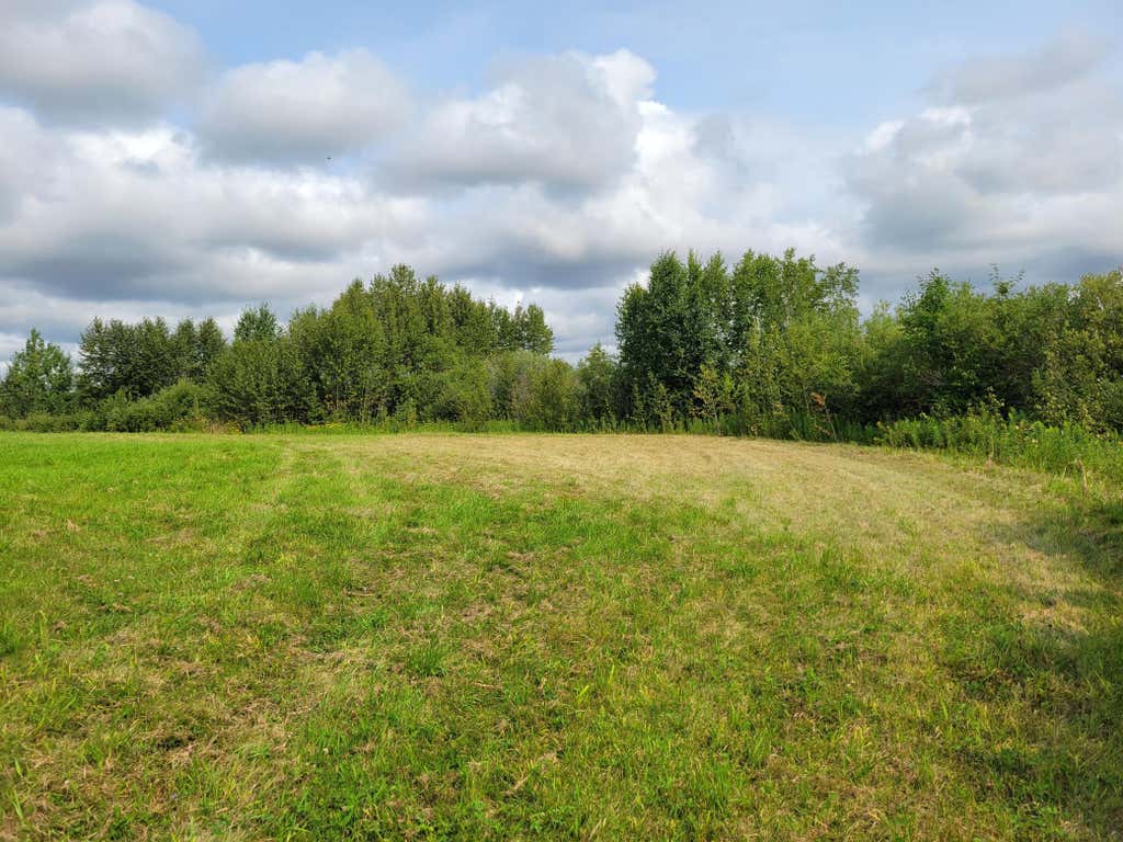 Photo of TBD Woodbury Drive, Wright, MN 55798 (MLS # 7124304)