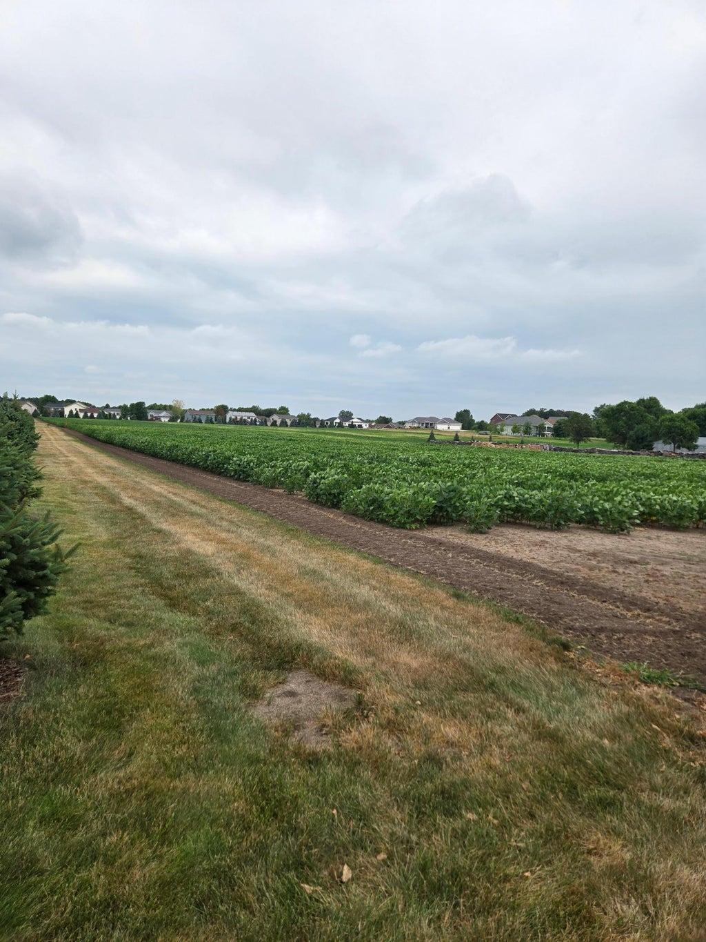 Photo of 1164 3rd Street S, Sartell, MN 56377 (MLS # 7115994)