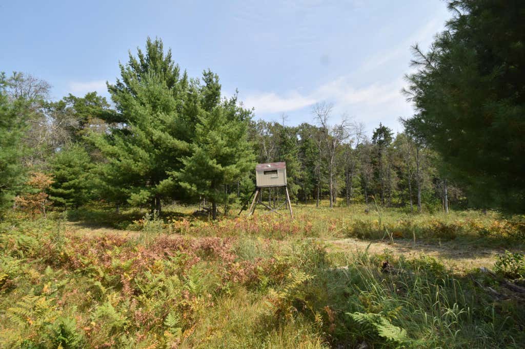 Photo of Lot 1 Pleasant Acres Trail, Danbury, WI 54830 (MLS # 7124867)