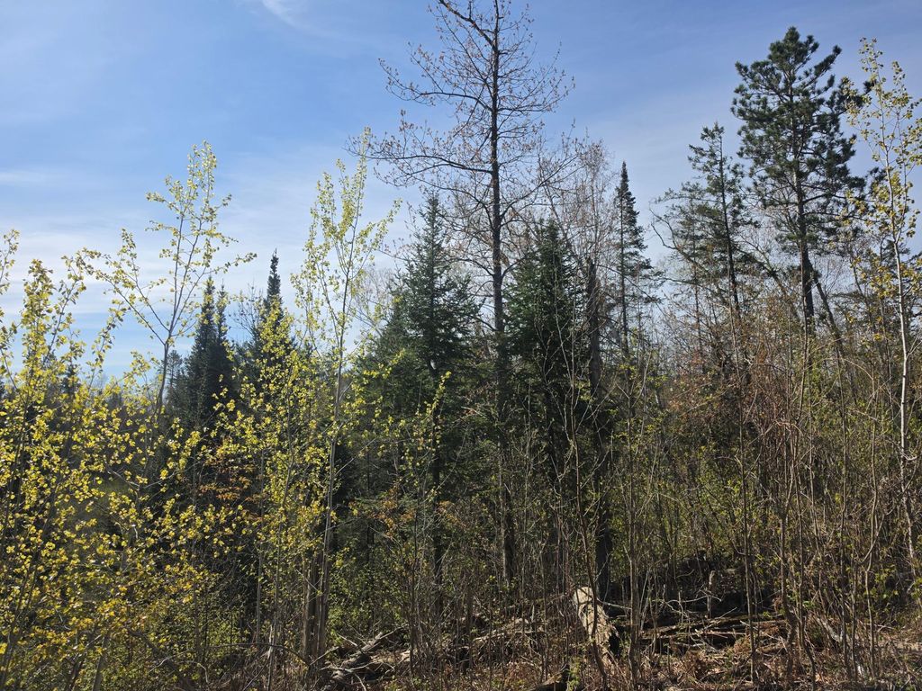 Photo of TBD S Thunder Lake Drive NE, Remer, MN 56672 (MLS # 7077246)