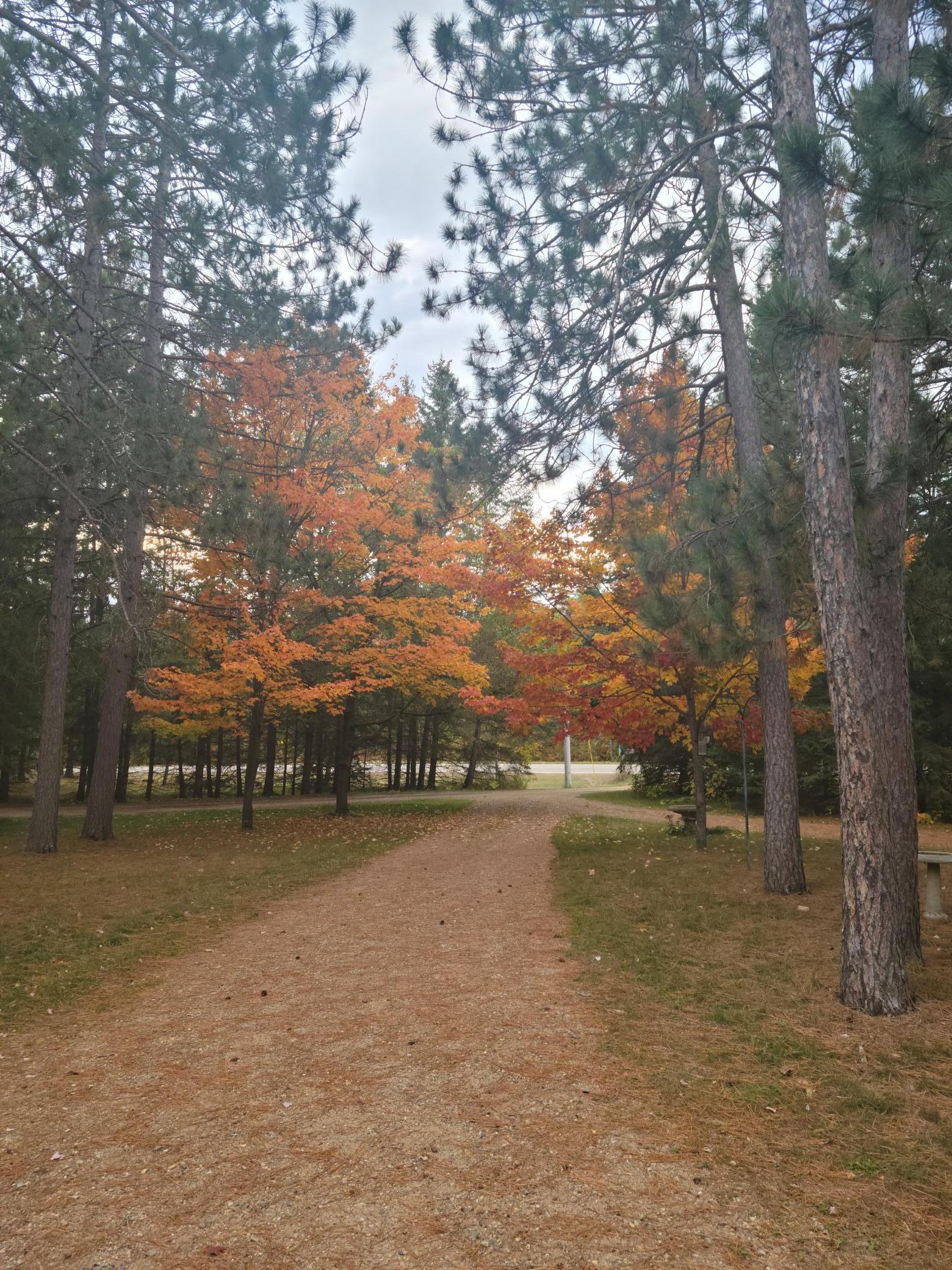 15169 Stocking Lake Road