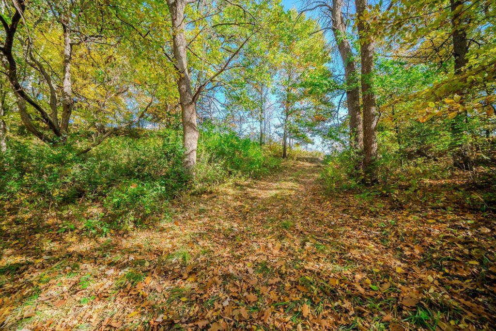 Photo of TBD County Road 102, Grey Eagle, MN 56336 (MLS # 7157191)