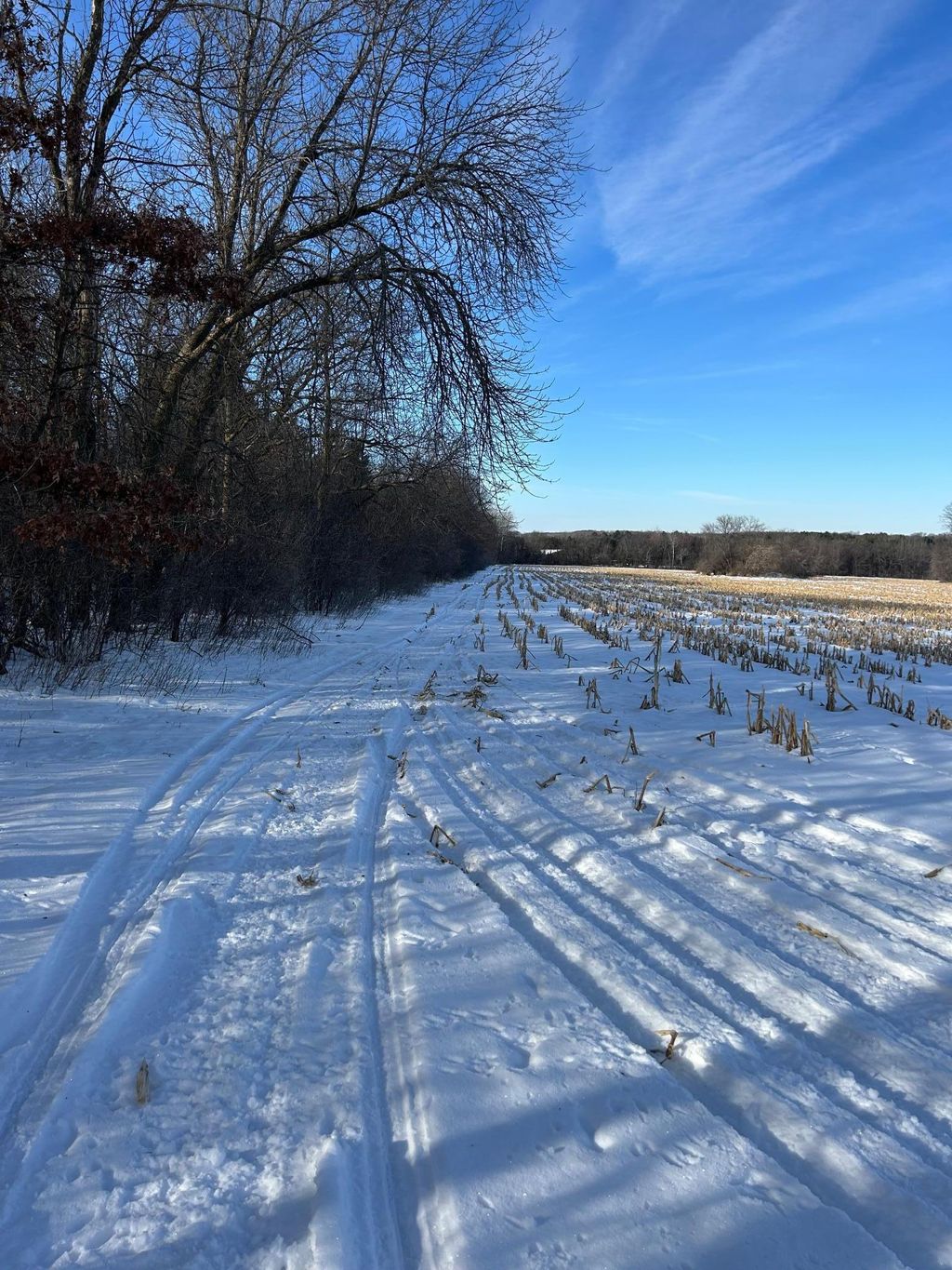 Photo of TBD 220th Street, Baldwin, WI 54002 (MLS # 7007569)