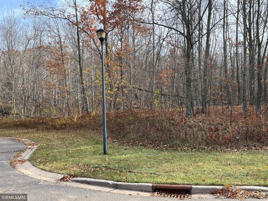 LOT 17 WILDERNESS HILLS, LUCK, WI 54853 - Image 2fcb9d606df9a03c3fda02efd99c3d23/4208804558