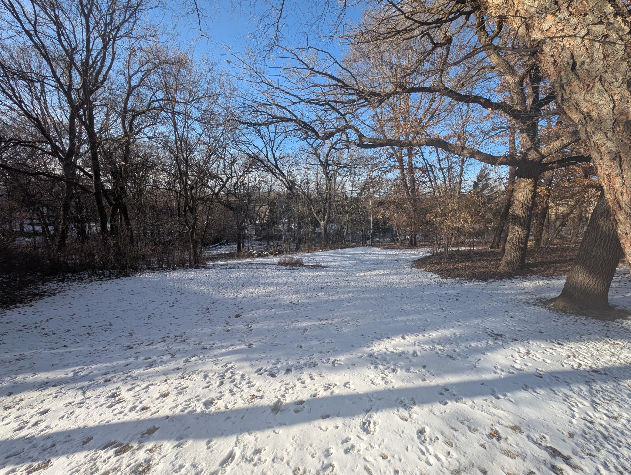 11362 Hawk High Court
