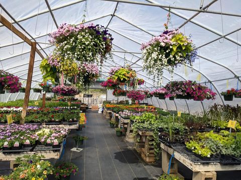 691 State 371 NW Powers Twp MN 56435