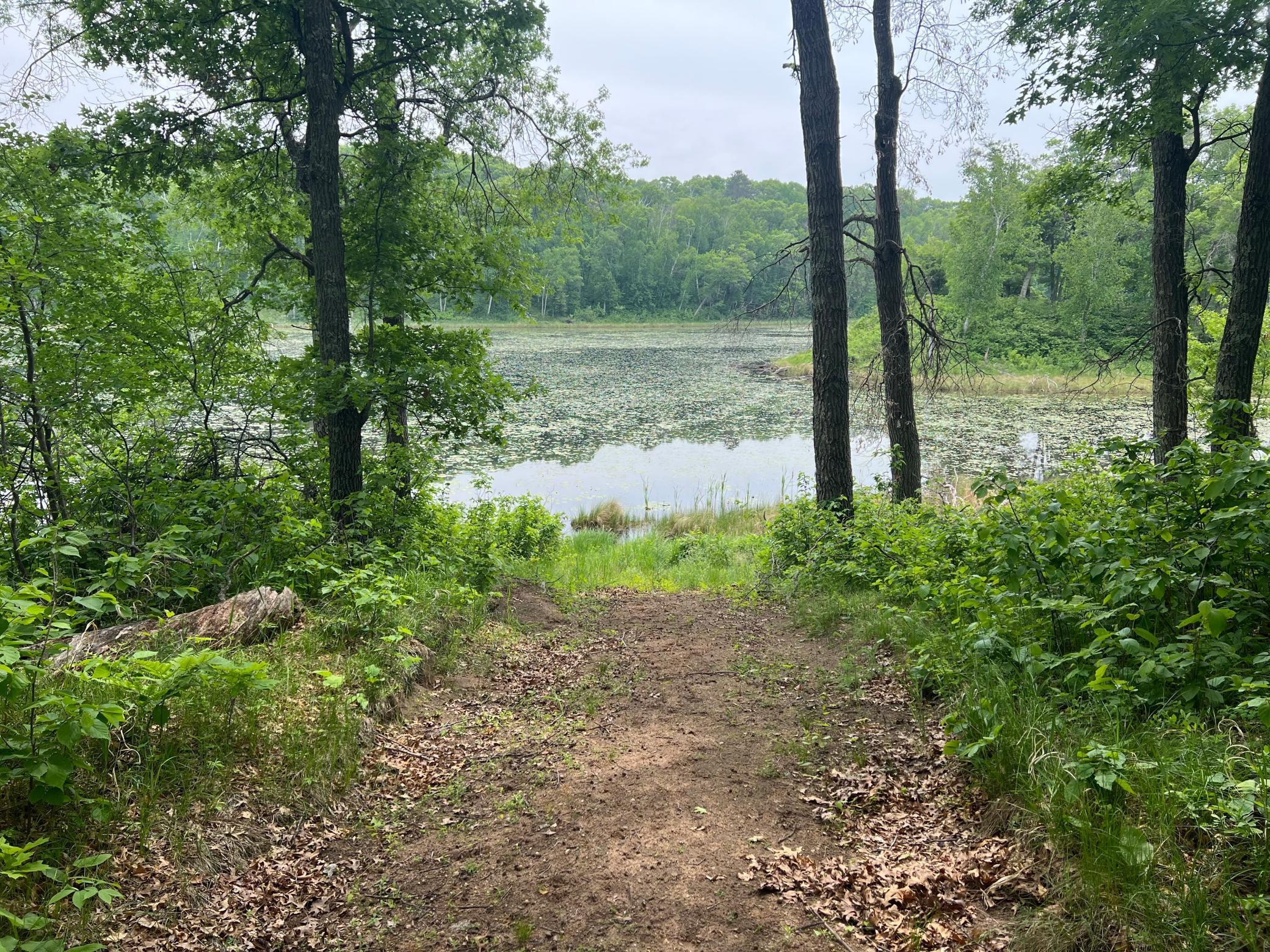 TBD Little Bass Lake Road