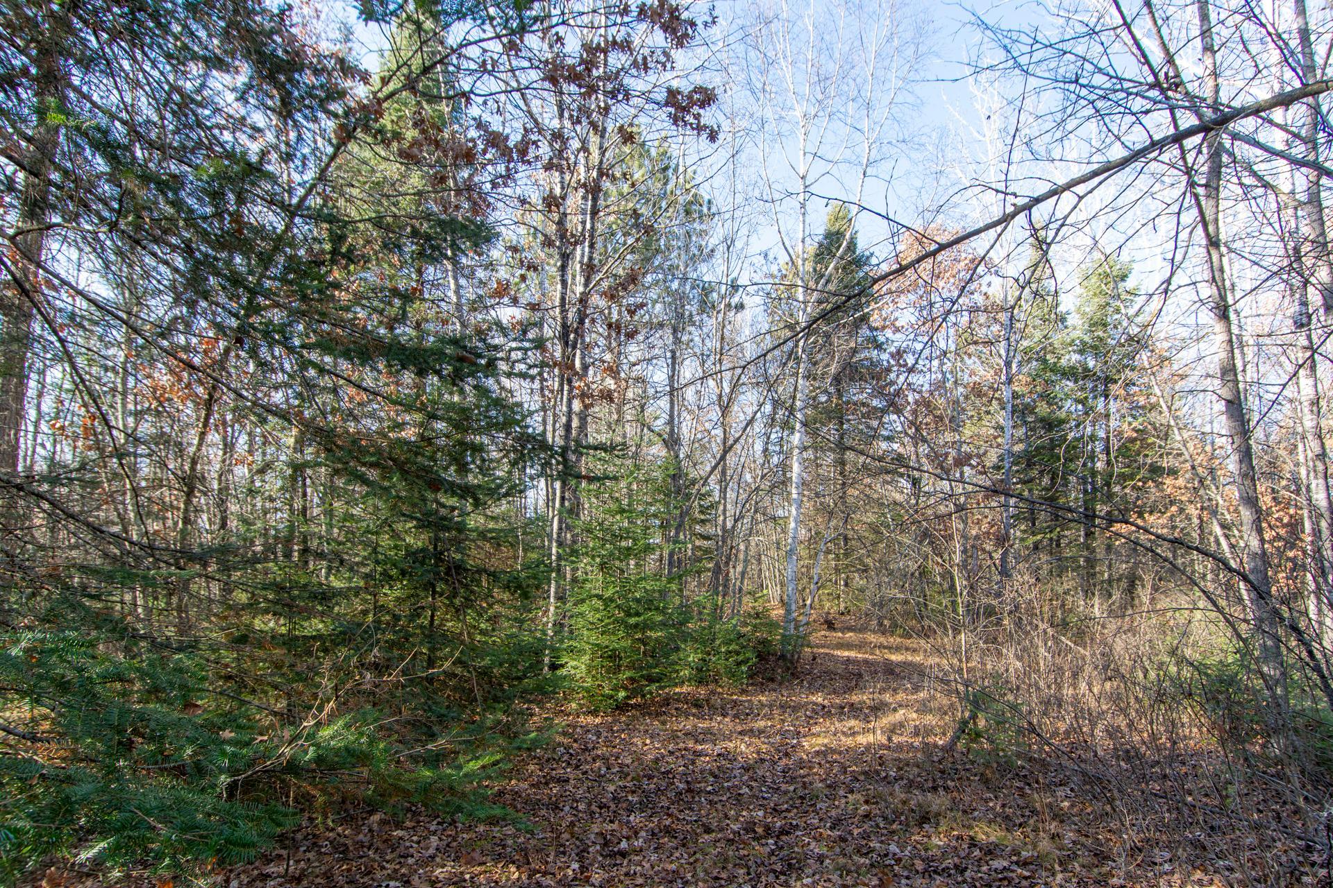 TBD Lot 2 Frustration Lane