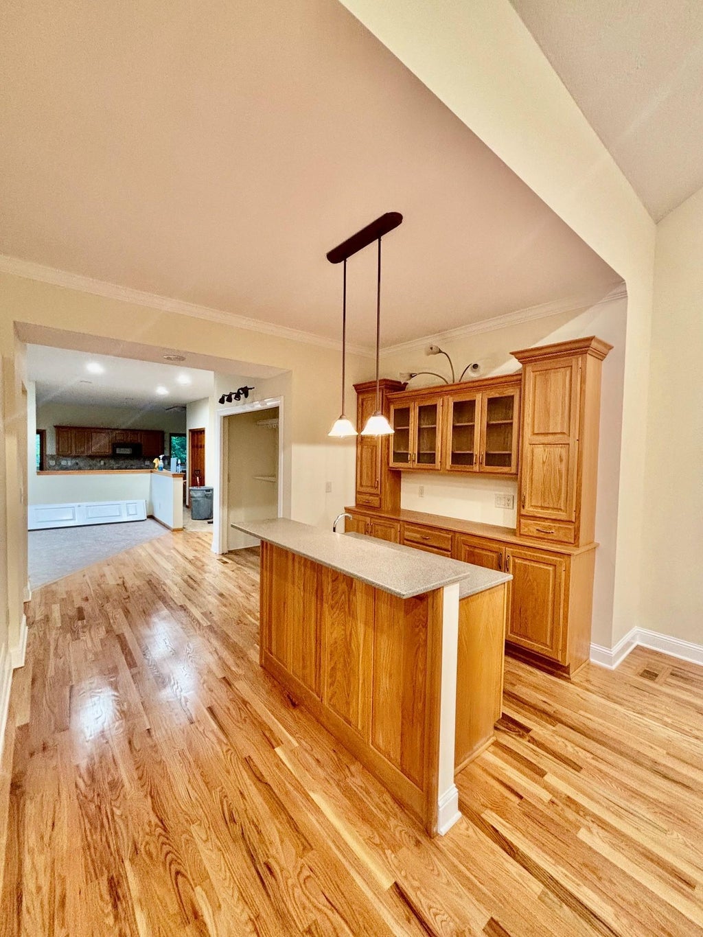 Photo of 9848 Oak Shore Drive, Lakeville, MN 55044 (MLS # 7117835)