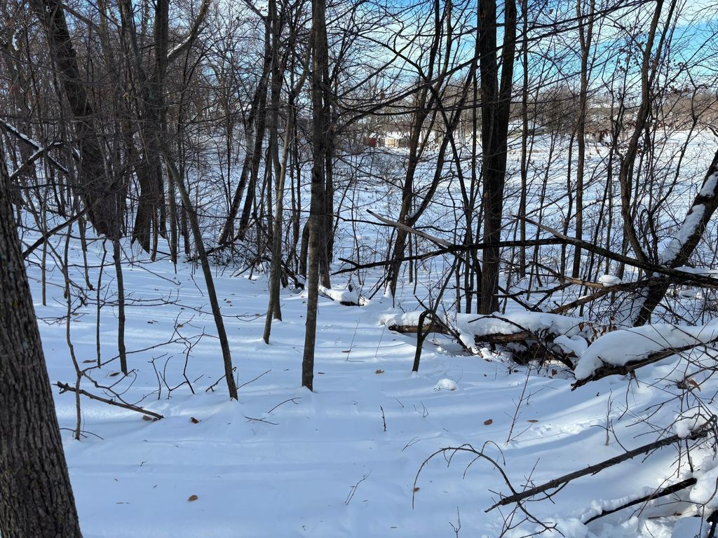 Photo of TBD Fern Lane, Alexandria, MN 56343 (MLS # 7001874)