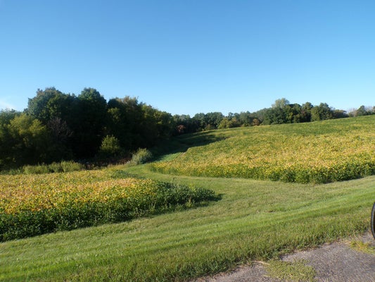 W8028 320TH AVE, HAGER CITY, WI 54014 - Image 30eea94faec14f7edb714a7ca42831dc/1397234752