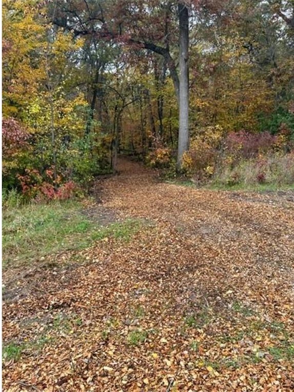 Lot 4 Tiger Street NW