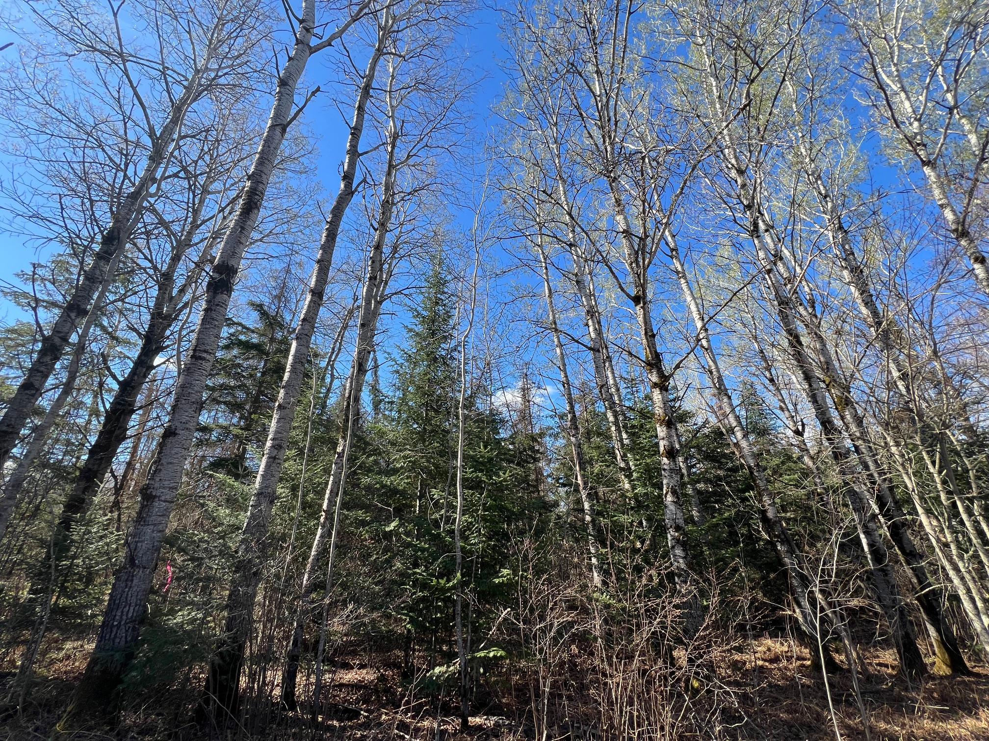Parcel B Township Road D