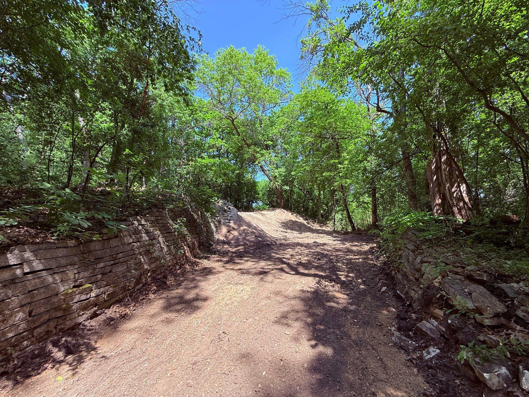 11800 Live Oak Drive