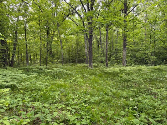 SANDHILL CRANE LN, PINE CITY, MN 55063 - Image 32f1f0f8f1614c835fd93e6643db7a2e/1340728991