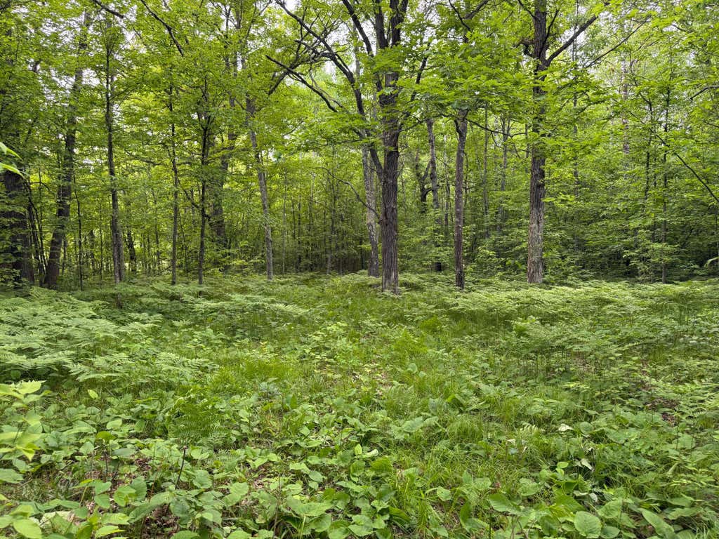 Photo of TBD Sandhill Crane Ln, Pine City, MN 55063 (MLS # 7088385)