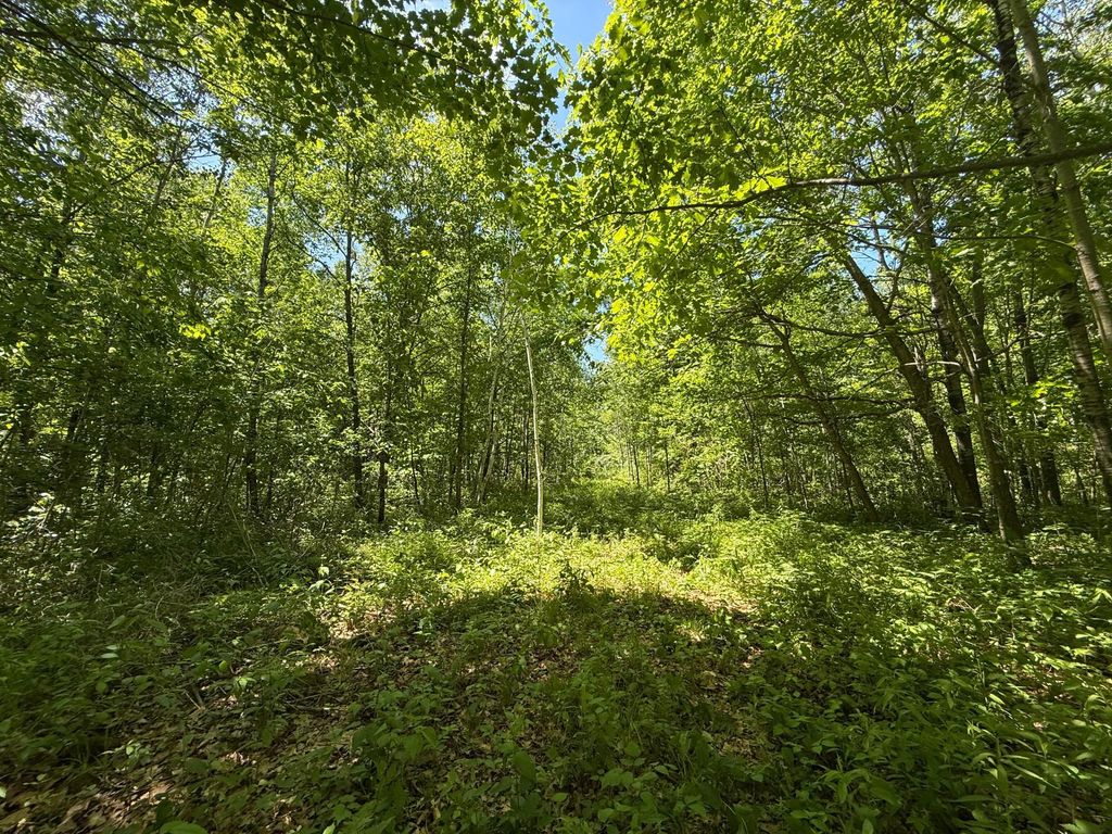 Photo of TBD Sandhill Crane Ln, Pine City, MN 55063 (MLS # 7088385)