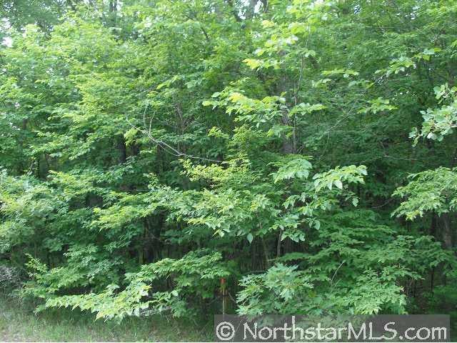 Photo 1 of 1 — Lot 12 Blk 6 Paradise Drive, Browerville, MN 56438
