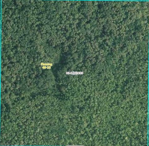 N/A N/A Fleming Twp MN 55760