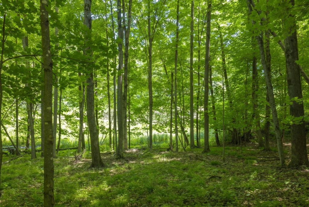 Photo of TDB Kemah Park Drive, Balsam Lake, WI 54810 (MLS # 7102209)