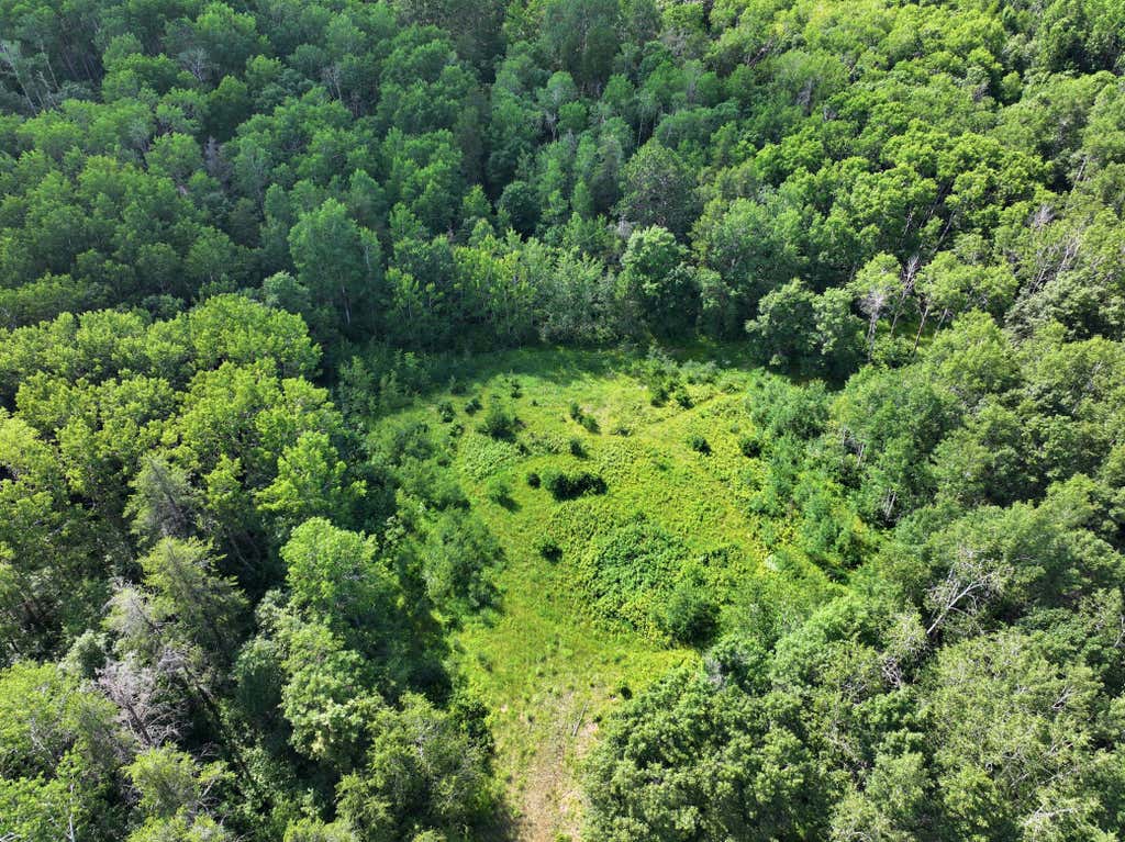 Photo of TBD US 71 - 16.7 AC, Park Rapids, MN 56470 (MLS # 7107685)