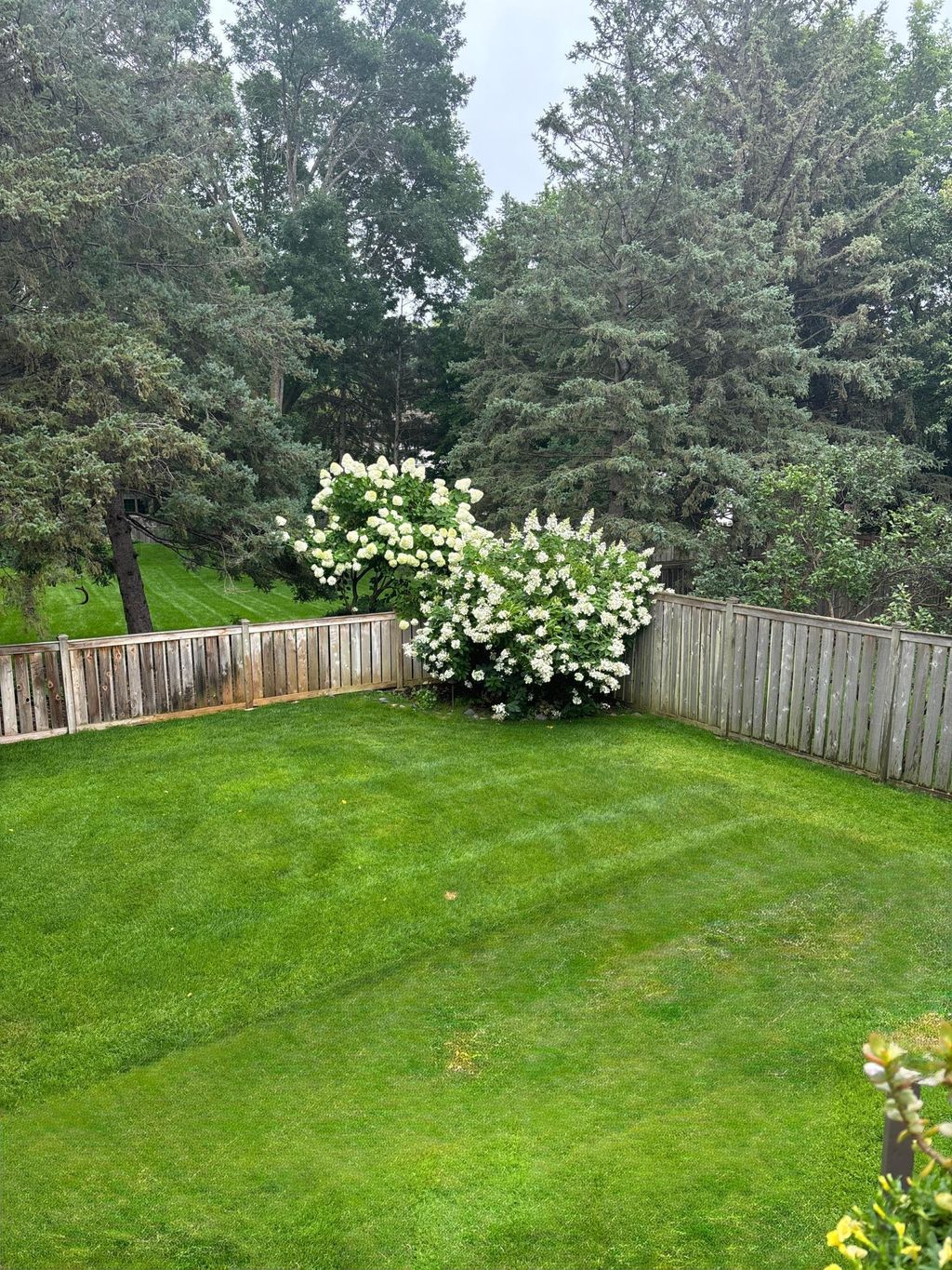 Photo of 5001 Kelsey Terrace, Edina, MN 55436 (MLS # 7012041)