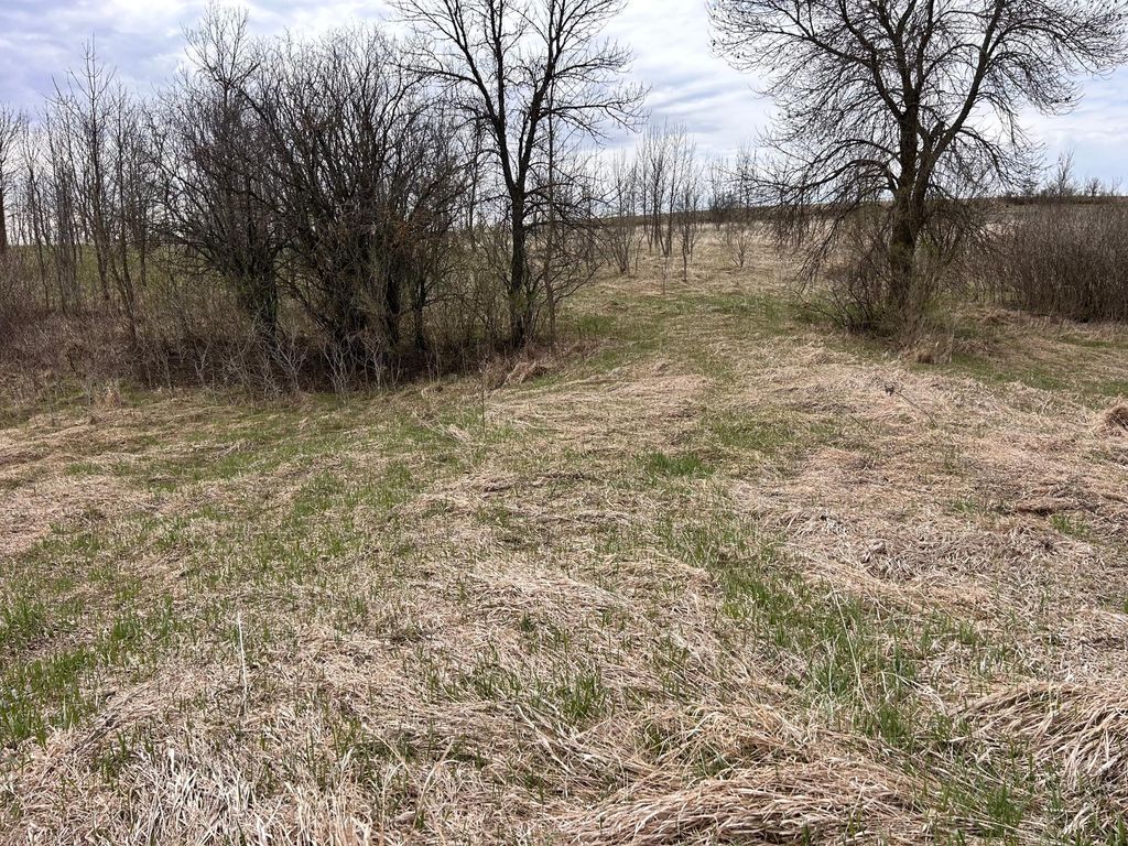 Photo of TBD 215th Street, Barrett, MN 56311 (MLS # 7064902)