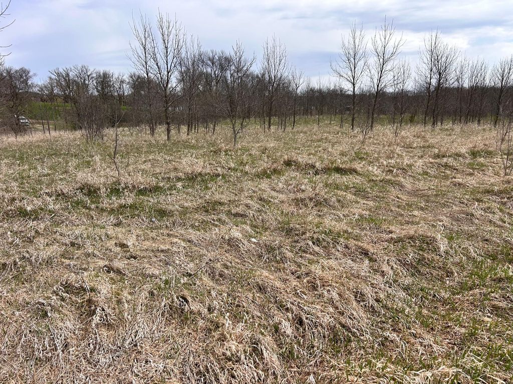 Photo of TBD 215th Street, Barrett, MN 56311 (MLS # 7064902)